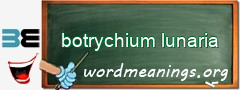 WordMeaning blackboard for botrychium lunaria
